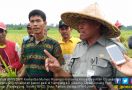 Kepala BPPSDMP Kementan Apresiasi Anak Muda Bertani - JPNN.com