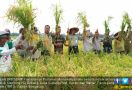 Kementan Wajibkan Penyuluh Pertanian Untuk Dirikan Korporasi Petani - JPNN.com