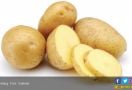 Waduh, Ini 3 Makanan yang Harus Dihindari Penderita Penyakit Autoimun - JPNN.com