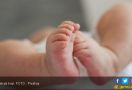 Ayo Ngaku, Siapa Buang Orok Bayi di Jalan Waringin? - JPNN.com