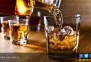 Minum Alkohol Bisa Membersihkan Racun di Otak? - JPNN.com