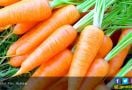 5 Jenis Sayuran Lezat Ini Ampuh Atasi Stres yang Mengganggu - JPNN.com