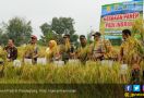 Dirjen Tanaman Pangan: Impor Pangan Berarti Khianati Petani - JPNN.com