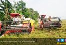 Tiga Tahun Era Jokowi, Jumlah Petani Miskin Menurun - JPNN.com
