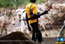Gembala Vs Petani di Nigeria: 83 Nyawa Melayang - JPNN.com
