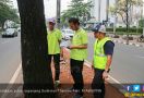 Trotoar Sudirman-Thamrin Direnovasi, Beberapa Pohon Ditebang - JPNN.com