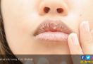 Langkah Mudah Mengatasi Bibir Kering Ala MUA Ariana Grande - JPNN.com