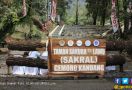 Sebentar Lagi Indonesia akan Punya Taman Sakura di Lawu - JPNN.com