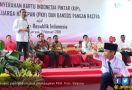 Jokowi Serahkan 1.250 PKH dan 1.170 KIP di Gresik - JPNN.com