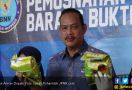 Arman Depari: Peredaran Ganja Cair Marak Lagi di Indonesia - JPNN.com