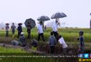 Pak Jokowi Rela Kehujanan Demi Padat Karya di Tanah Datar - JPNN.com