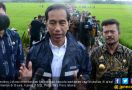 Blusukan ke Sawah, Presiden Jokowi Kehujanan Lagi - JPNN.com