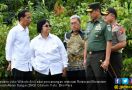 Pak Jokowi Menghijaukan Hulu Demi Citarum Kembali Harum - JPNN.com