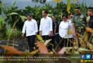 Presiden Jokowi Lepas Sepasang Elang Jawa di Sungai Citarum - JPNN.com