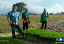 Petani Lampung Selatan Terapkan Sistem Unik - JPNN.com