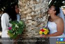 Perempuan Meksiko Beramai-ramai Nikahi Pohon, Kenapa Ya? - JPNN.com