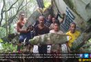 Penemuan Bangkai Pesawat di Hutan Bikin Heboh - JPNN.com