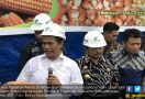 Menteri Amran Lepas Ekspor 60 Ribu Ton Jagung ke Filipina - JPNN.com