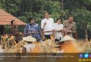 Pak Jokowi Serahkan 13 SK Perhutanan Sosial Seluas 8.975 Ha - JPNN.com