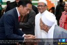 Rajin Temui Ormas Islam, Jokowi Bidik Cawapres Nonpartai? - JPNN.com