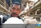 Honorer K2 Nyambi jadi Buruh Bangunan, Ada yang Tanam Jamur - JPNN.com