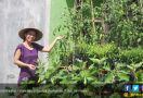 PBB Apresiasi Generasi Muda Pertanian Masih Jaga Tradisi - JPNN.com