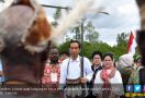 Jokowi Diberi Gelar Kambepit, Panglima Perang Asmat - JPNN.com