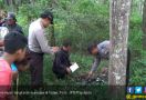 Tengkorak Manusia Ditemukan di Hutan Brombos - JPNN.com