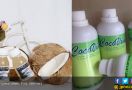 Vinegar Air Kelapa, Solusi Sehat Sebagai Pengawet Alami - JPNN.com