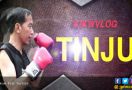 PDIP: Jokowi Sedang Shadow Boxing - JPNN.com