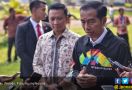 Oso: Melihat Pak Jokowi itu Sepertinya Gampang - JPNN.com