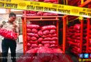 Black List Importir Tak Hentikan Pidana Bawang Bombai Ilegal - JPNN.com