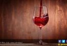 5 Manfaat Red Wine yang Tidak Terduga, Lindungi Tubuh dari Penyakit Ini - JPNN.com