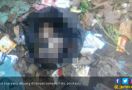 Ayo Ngaku, Siapa Buang Orok Bayi di Pembuangan Sampah? - JPNN.com