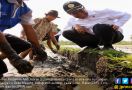 Ingat Masa Kecil, Amran Sulaiman Berburu Belut di Sawah - JPNN.com