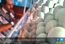 Tol Baru Beroperasi, Produsen Telur Asin Kurangi Produksi - JPNN.com