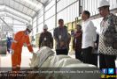 Presiden Minta Petani Bersinergi Tingkatkan Produksi - JPNN.com