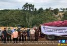 Bea Cukai Aceh Memusnahkan 33 Ton Bawang Merah Ilegal - JPNN.com