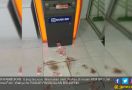 Kisah Pemuda Jujur Kembalikan Uang Berhamburan di ATM BRI - JPNN.com