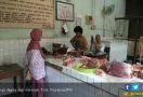 Kementan Khawatir Broker Bermain Harga Daging Jelang Lebaran - JPNN.com