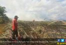 Manggala Agni Siaga Padamkan Api Jelang Idulfitri - JPNN.com