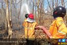 Hutan Baluran Hangus Terbakar - JPNN.com