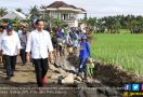 Pak Jokowi Tinjau Proyek Irigasi Senilai Rp 225 Juta di Wajo - JPNN.com
