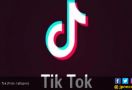 Nirfaedah, Aplikasi Tik Tok Diblokir Pemerintah - JPNN.com