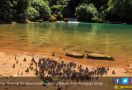 Merasakan Suasana ala Negeri Dongeng di Taman Nasional Babul - JPNN.com