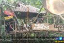 Nol Karbon & KPH Wilayah III Aceh Berkolaborasi, Siap Restorasi Hutan Mangrove - JPNN.com