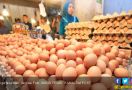 Harga Telur dan Daging Ayam Naik Jelang Natal - JPNN.com