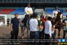 Kementan Pastikan Standar Kesehatan 17 Kuda Asian Games - JPNN.com