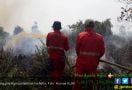 24,5 Hektare Lahan Terbakar, Tebo Tingkatkan Status Siaga - JPNN.com