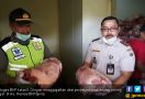 Petugas Gagalkan Penyelundupan Daging Celeng Ilegal - JPNN.com